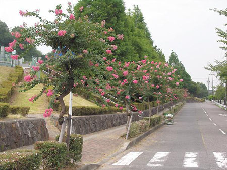 春日井市