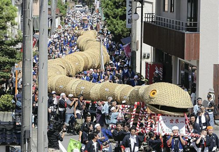 号称世上最长的蛇 新泻县关川村“大蛇祭”游行