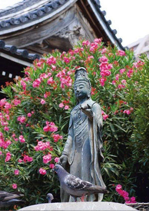 名古屋市的大须观音寺