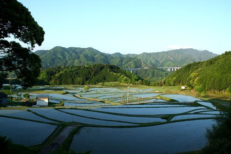 龟山市