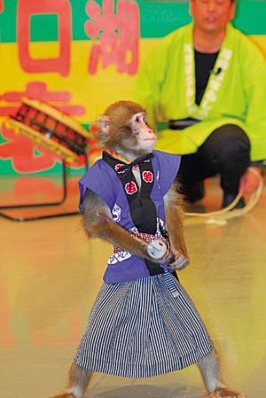 既爆笑又温馨 河口湖耍猴剧场