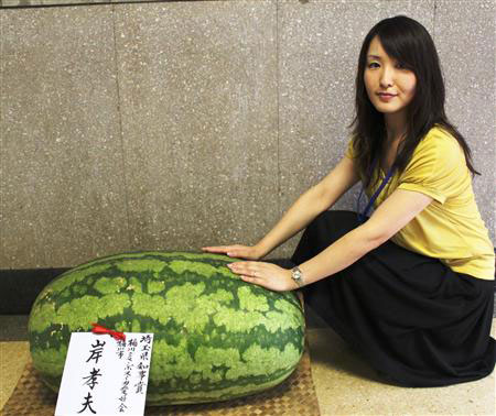 琦玉县政府展示惊人巨型西瓜