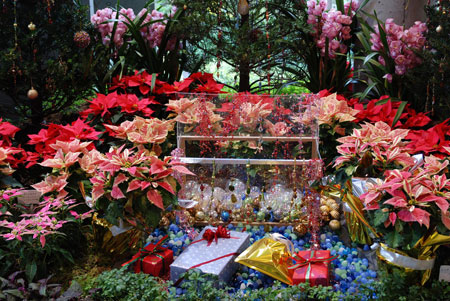 千叶市花之美术馆 震后重开