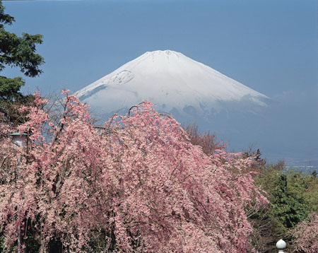 富士山今夏登山者人数骤减3万人