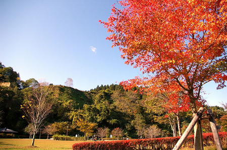 大崎市