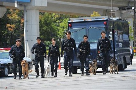 户田惠梨香：英姿飒爽女警本色【图】