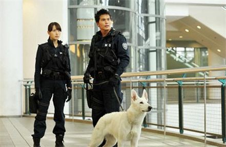 户田惠梨香：英姿飒爽女警本色【图】