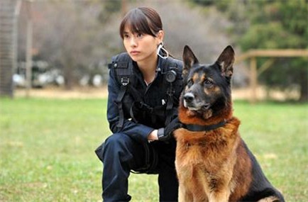 户田惠梨香：英姿飒爽女警本色【图】