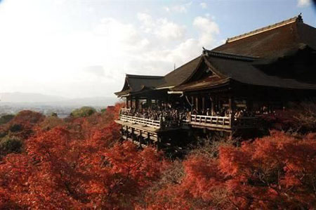 日本观光厅辟谣“为1万名外国游客免费提供机票”报道