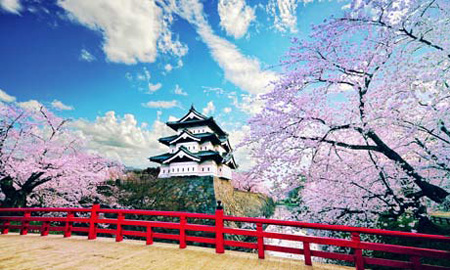 日本与东京分别成为最受欢迎的旅游国家与城市