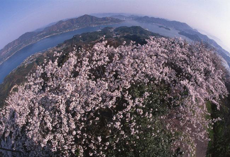 2011年日本最美山村摄影大赛 连日本人都不知道的日本美景