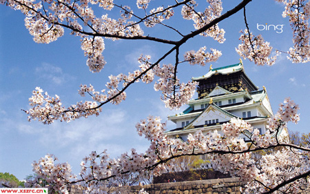日本正式启动在海外的赴日旅游宣传活动