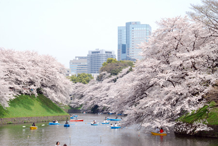 全球旅游胜地排名 日本和东京双居榜首