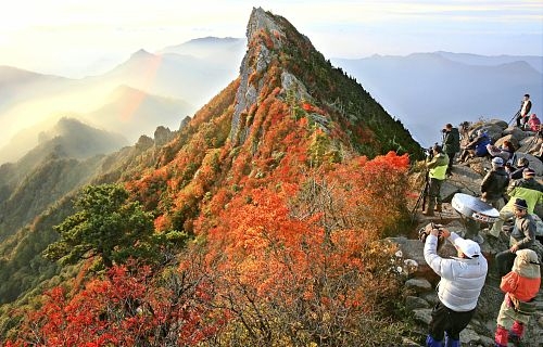 爱媛县西日本最高峰——石鎚山峰红叶绽放