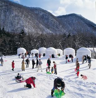 光辉的冰蜡灯与雪屋祭典