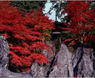 石山寺