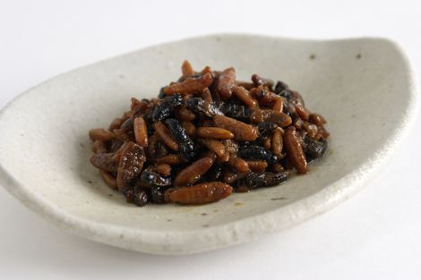 珍馐(蜂子 蝗虫 Zazamuxi)