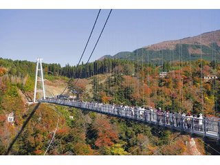 日本第一！九重“梦”大吊桥