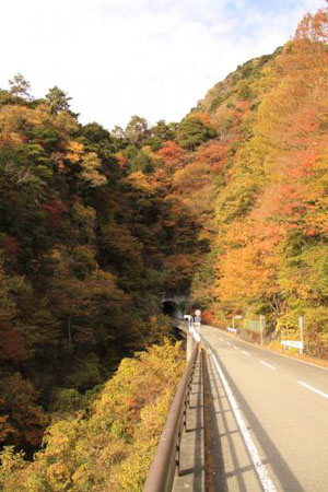 山梨县甲府地区旅游信息 日本通 山梨县甲府地区旅游信息 日本通