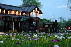 茨城县推荐观光景点之夏季篇 日本通