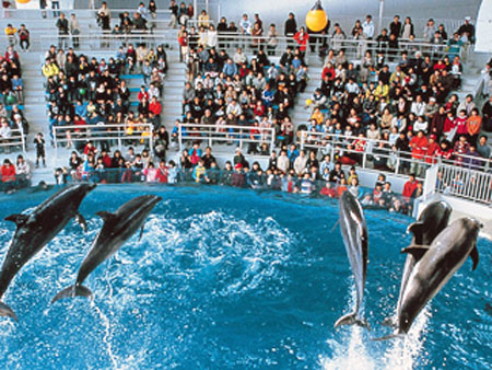 水族館「海响馆」