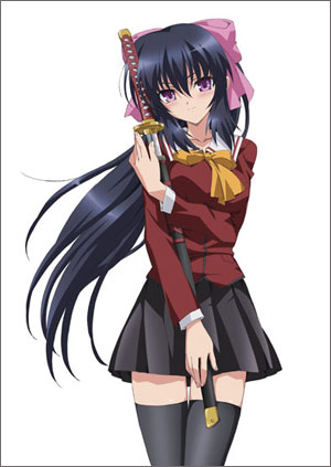 这就是所谓的重大发表！《守护猫娘的绯鞠》BD-BOX化