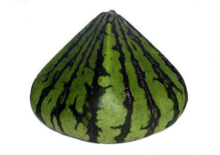 日本西瓜盛宴——千奇百怪的西瓜