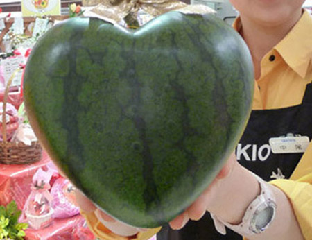 日本西瓜盛宴——千奇百怪的西瓜