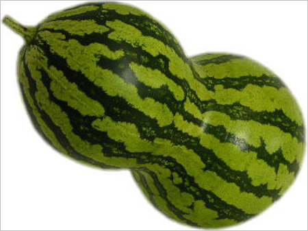 日本西瓜盛宴——千奇百怪的西瓜