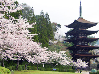 国宝瑠璃光寺五重塔