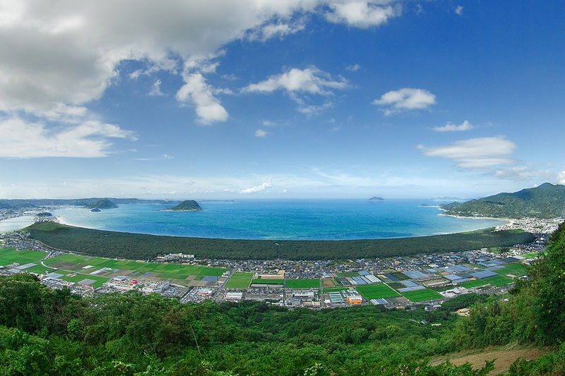 彩虹松树林（唐津市）