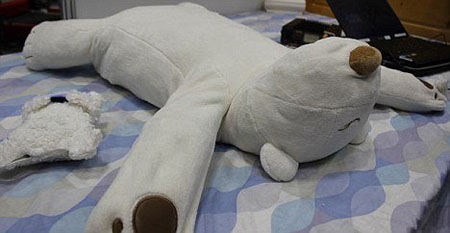 日本研发“机器熊”近日公开 有效治疗打鼾现象