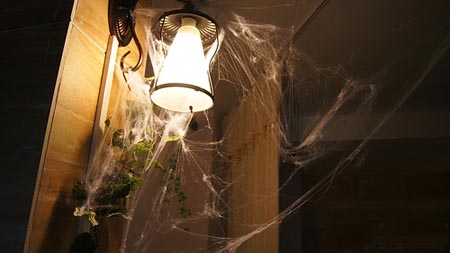 万圣节大宅下的女仆与执事 广州首家女仆执事咖啡屋