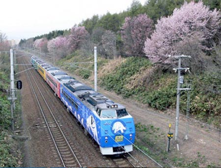 一上车吓死你！日本超萌列车——旭山动物园号！（图）