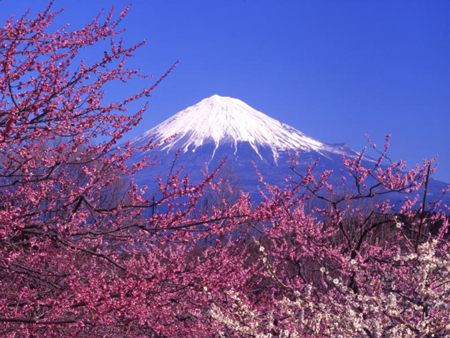 日本第一圣山 富士山