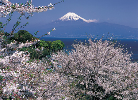 日本旅游概况