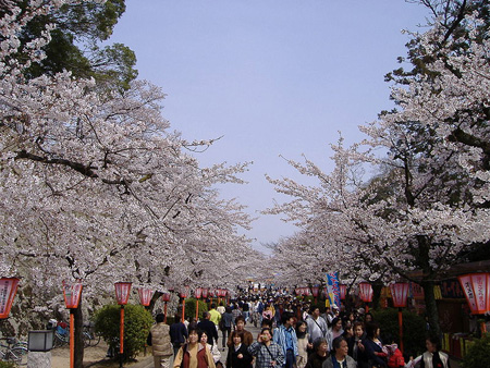 津山市