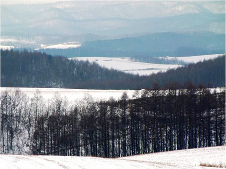 北海道 北国的雪