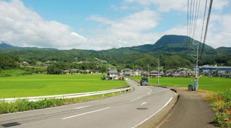 日本乡间的稻田美景