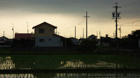 日本乡间的稻田美景