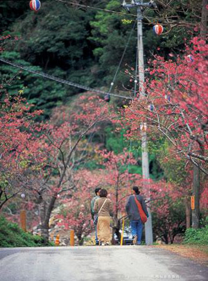 去冲绳体验古朴民风