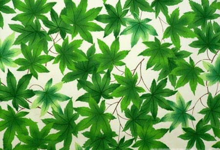 带给你千变万化的彩色生活——日本千代纸