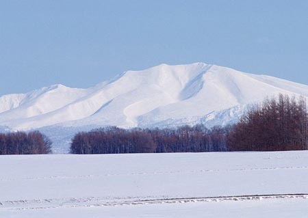 体验冬日里北海道的浪漫