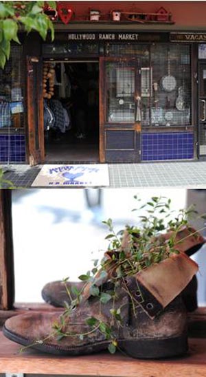 充满文艺气质的东京代官山 日本通