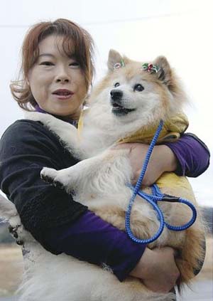 世界最长寿的狗“Pushike”5日离世 “享年”26岁