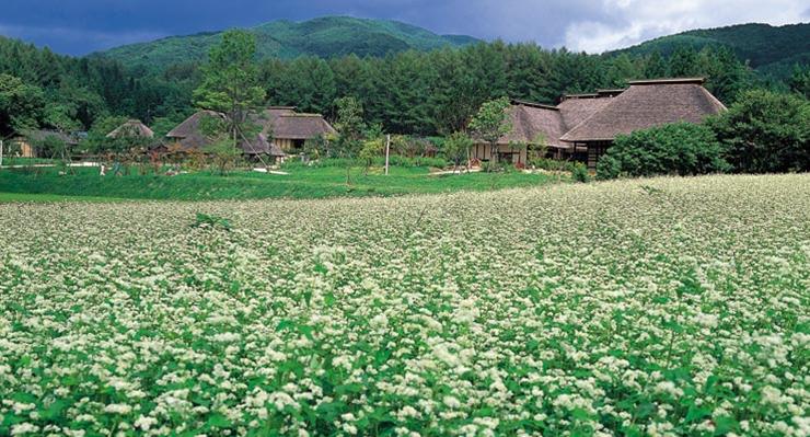 远野故乡村（远野市）