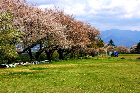 富士市