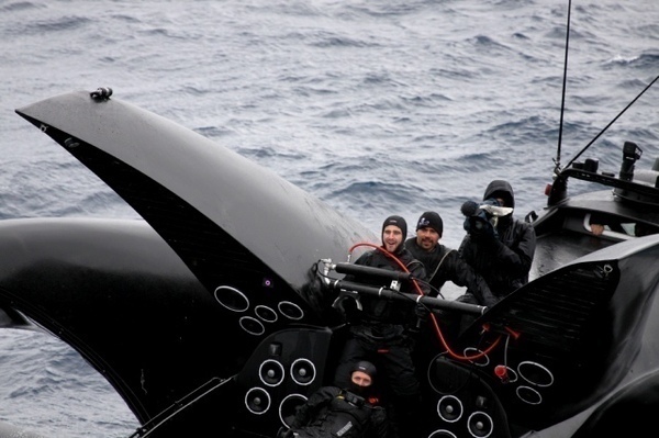 为阻止日本于南极海捕鲸 反捕鲸团体多艘抗议船出港