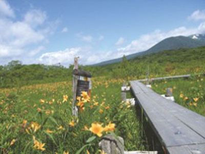 山谷湿地原生态花园