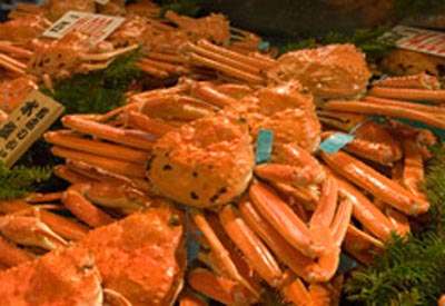 金沢螃蟹、寒鰤、甜虾、寿司
